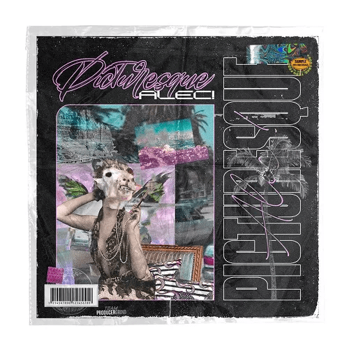 ProducerGrind PICTURESQUE One Shot Kit WAV Download 1685346973_PICTURESQUE-One-Shot-Kit-1.png