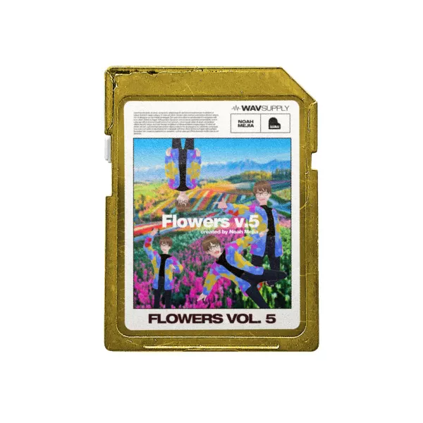 1685511110_WavSupply-Noah-Mejia-Flowers-Vol_-5-One-Shot-Kit-WAV.png