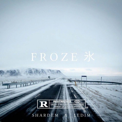SHARDEM & LEDIM - FROZE 氷 (FLP)