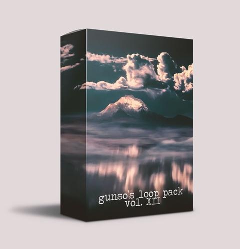 Gunso's Loop Pack Vol. XII 