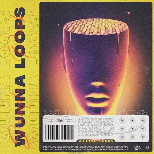 1689173712_Cartel-Loops-Wunna-Loops-WAV.png