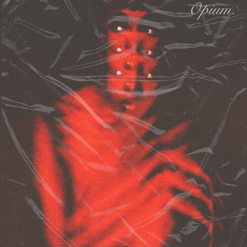 730! Opium Serum Bank Download 730-Opium-Serum-Bank.jpeg