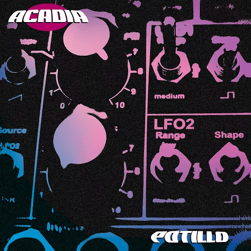 ACADIA-ANALOG-LAB-BANK.png