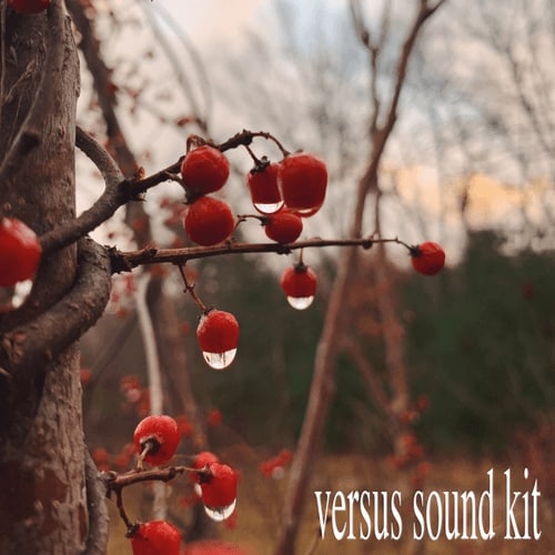 Versus Beats - Versus Sound Kit - Free Download Versus Sound Kit - Free Download